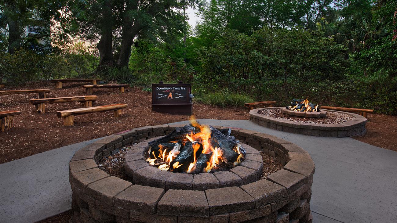 Fire Pit